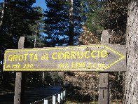 otta Corruccio-20100402 001
